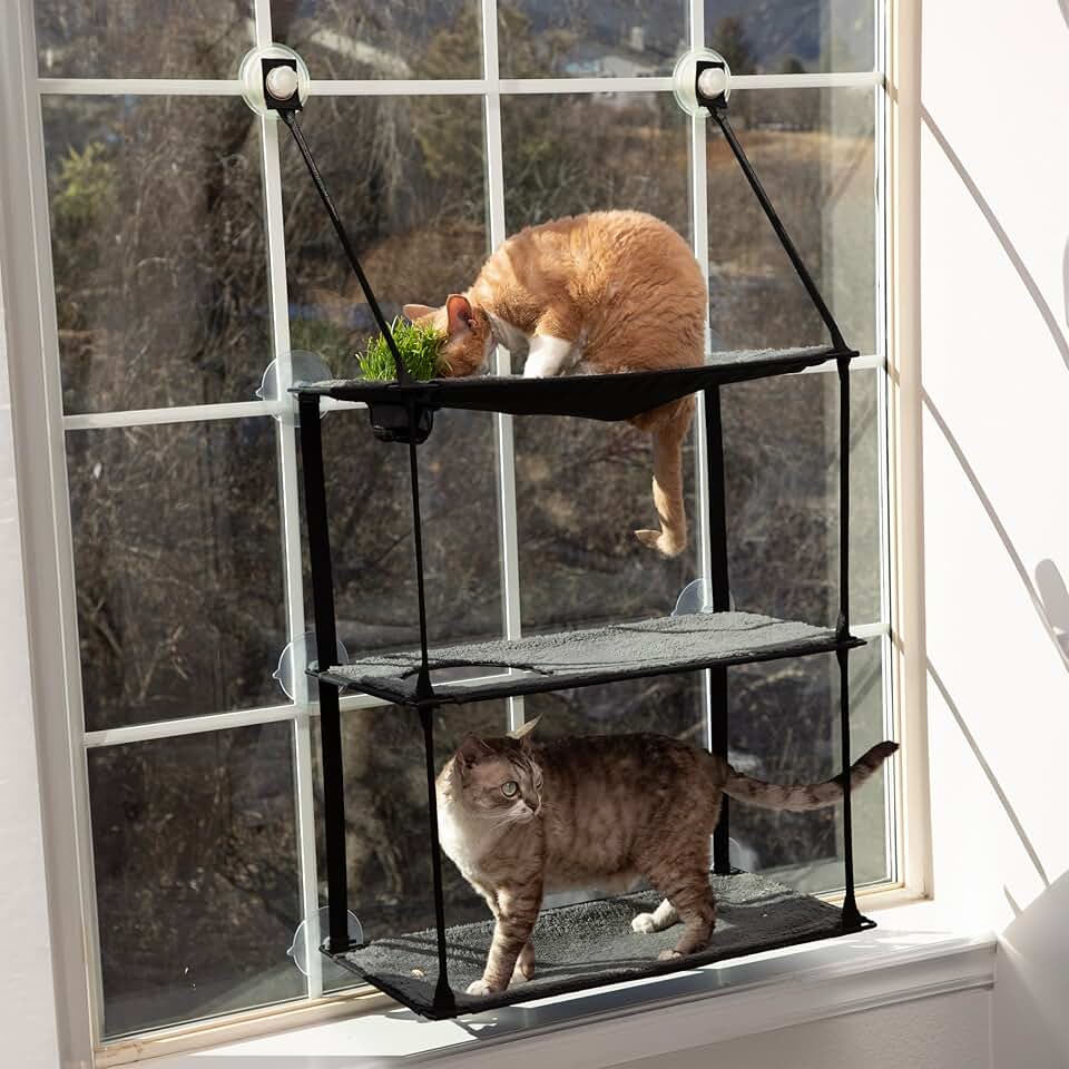EZ Mount Window Cat Perch with Grass Station