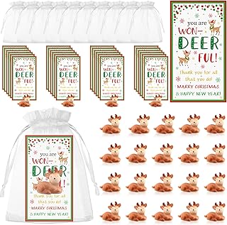 24 Mini Reindeer Gift Sets with Cards and Bags