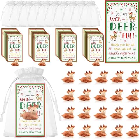24 Mini Reindeer Gift Sets with Cards and Bags