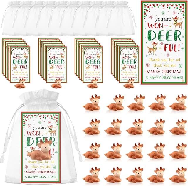 24 Mini Reindeer Gift Sets with Cards and Bags