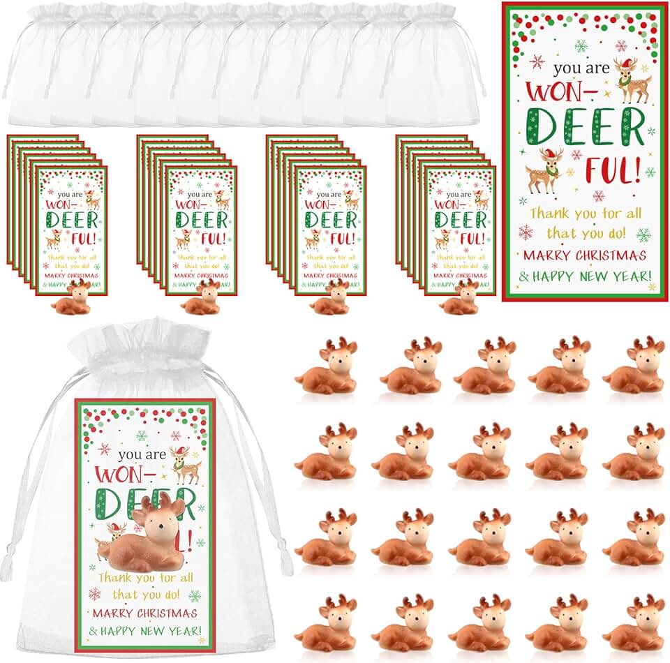 24 Mini Reindeer Gift Sets with Cards and Bags
