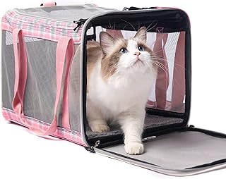 Large Soft Cat and Dog Carrier for Travel