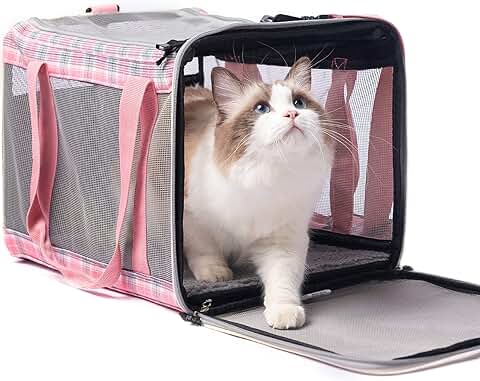Large Soft Cat and Dog Carrier for Travel