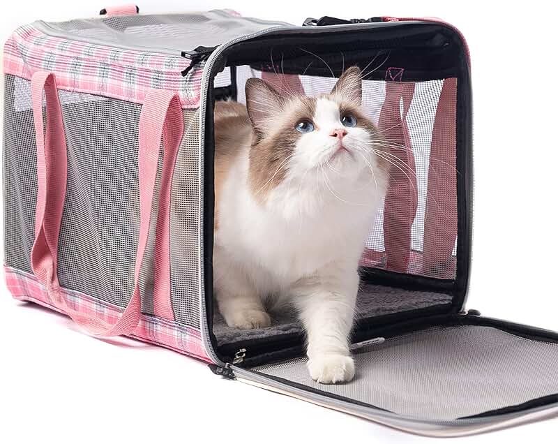 Large Soft Cat and Dog Carrier for Travel