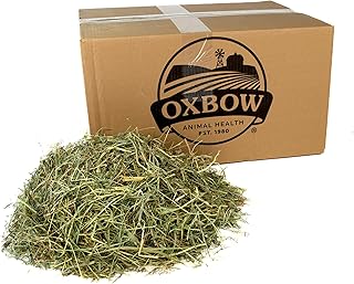 Natural Orchard Grass Hay for Small Pets, 25 lb