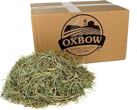 Natural Orchard Grass Hay for Small Pets, 25 lb