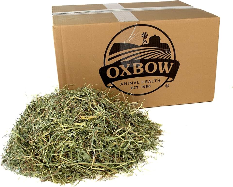 Natural Orchard Grass Hay for Small Pets, 25 lb
