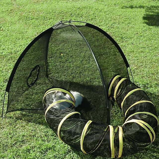 Outdoor Cat Enclosure with Tunnel for Play and Safety