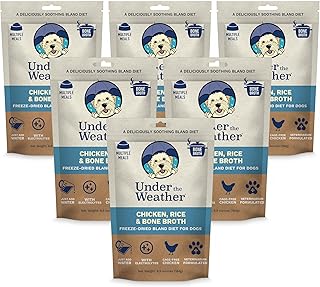 Gentle Diet for Sick Dogs with Electrolytes