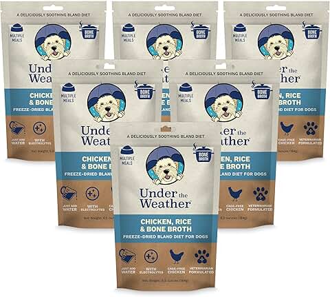 Gentle Diet for Sick Dogs with Electrolytes