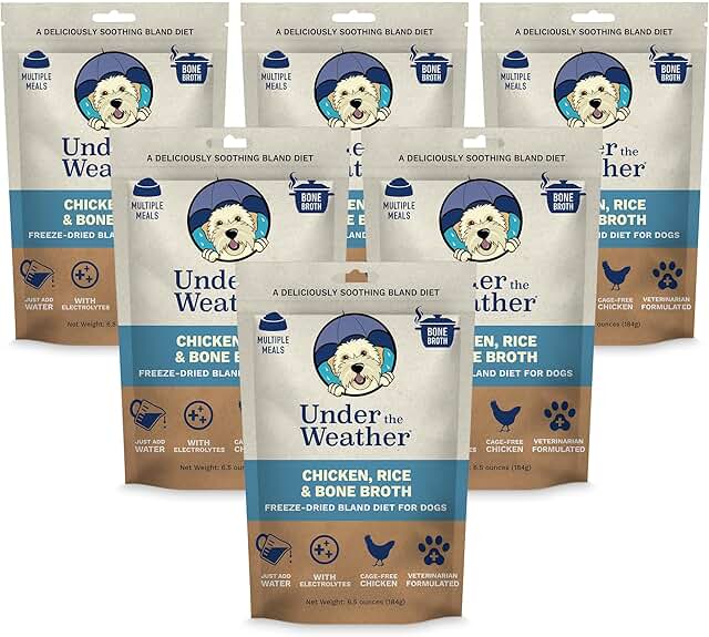 Gentle Diet for Sick Dogs with Electrolytes