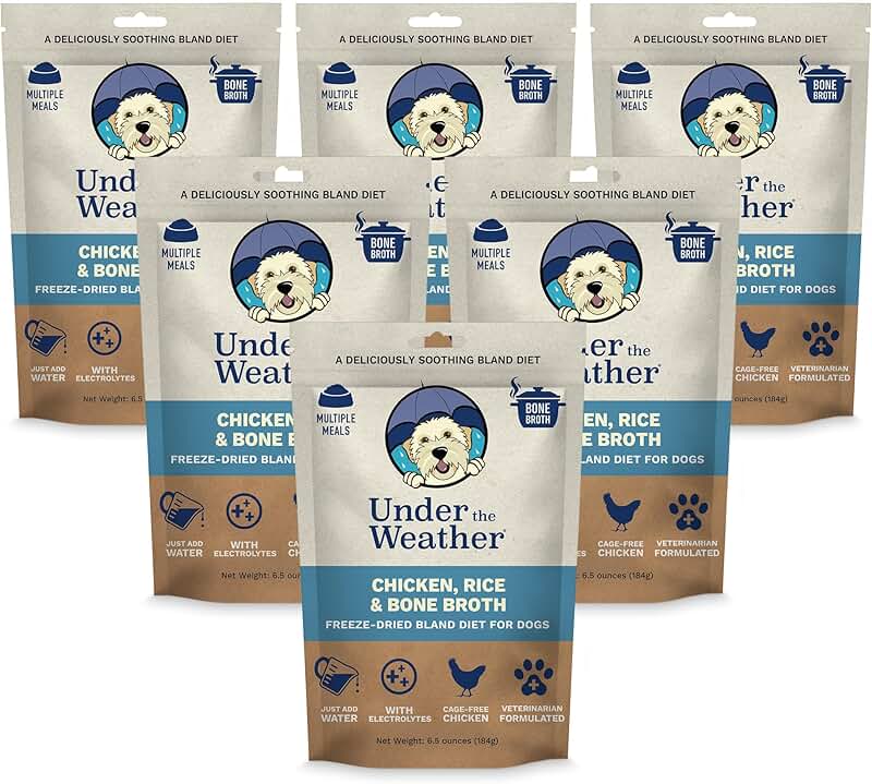 Gentle Diet for Sick Dogs with Electrolytes