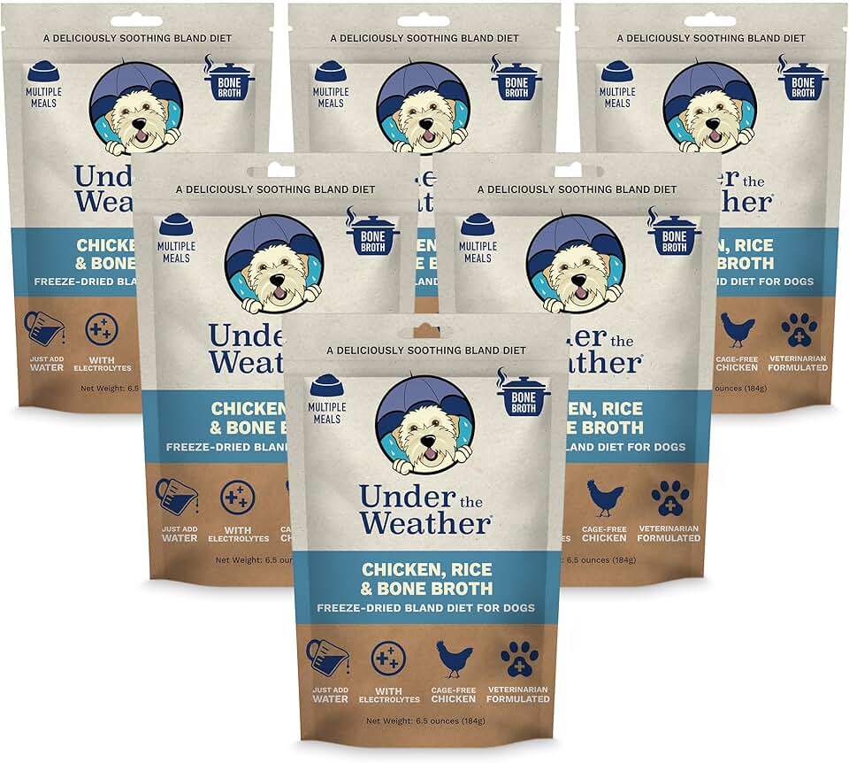 Gentle Diet for Sick Dogs with Electrolytes