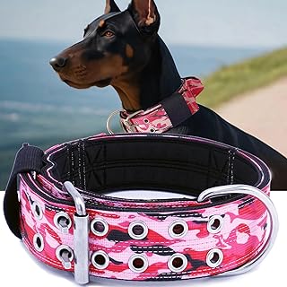 Large Dog Collar with Handle, Heavy Duty Nylon, Camo Pink