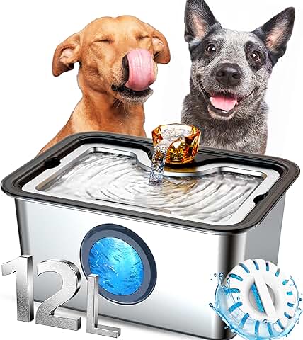 Large Dog Water Fountain with Filter and Quiet Pump