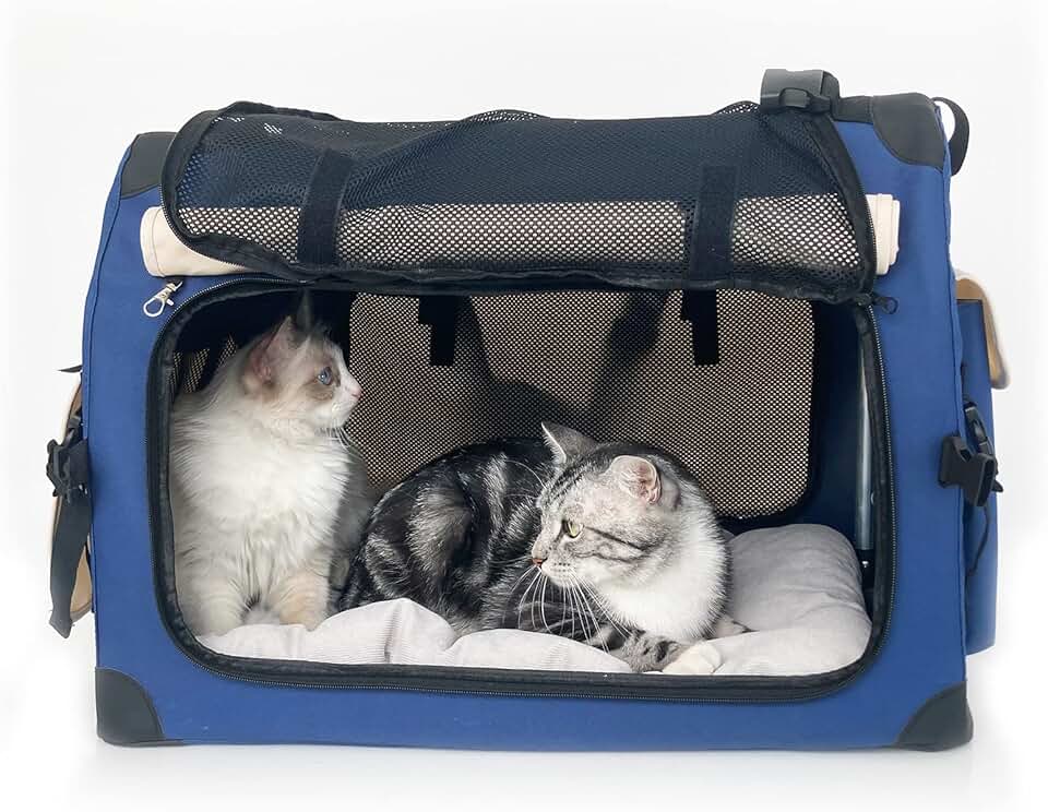 Large Soft-Sided Cat and Dog Carrier with Mat