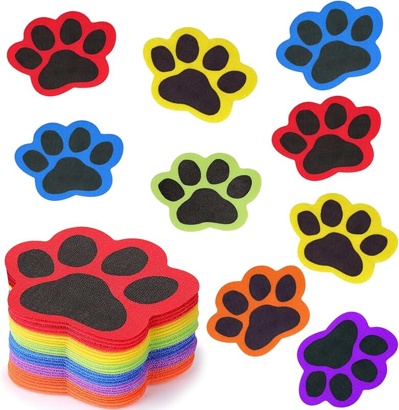 48 Carpet Spot Markers in 6 Colors for Classroom Floor