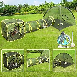 Outdoor Cat Playhouse with Tunnel and Accessories