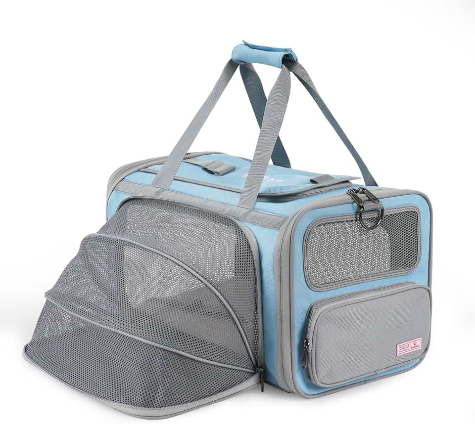 Pet Travel Carrier for Cats and Dogs with ID Tag