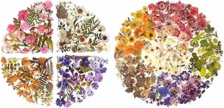 430-Piece Dried Flower Sticker Set for Journals and Crafts
