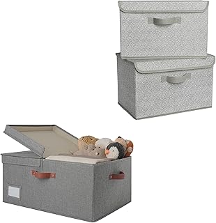 Large Storage Bins with Lids and Closet Bins