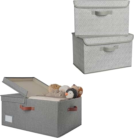 Large Storage Bins with Lids and Closet Bins