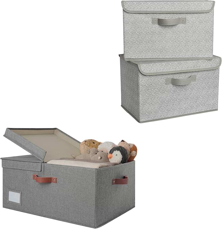 Large Storage Bins with Lids and Closet Bins