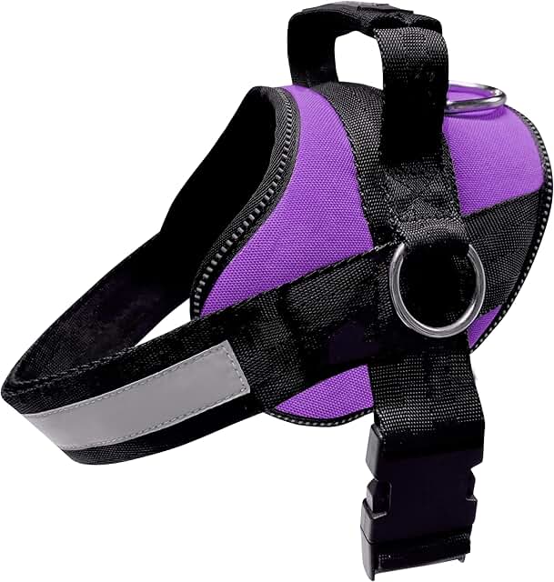 Basic Dog Harness for Small to Large Dogs