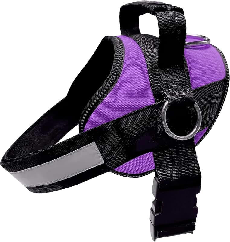 Basic Dog Harness for Small to Large Dogs