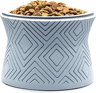 Elevated Pet Bowl Stand with Removable Stainless Steel Bowl
