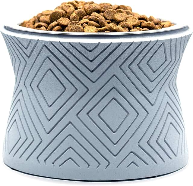Elevated Pet Bowl Stand with Removable Stainless Steel Bowl
