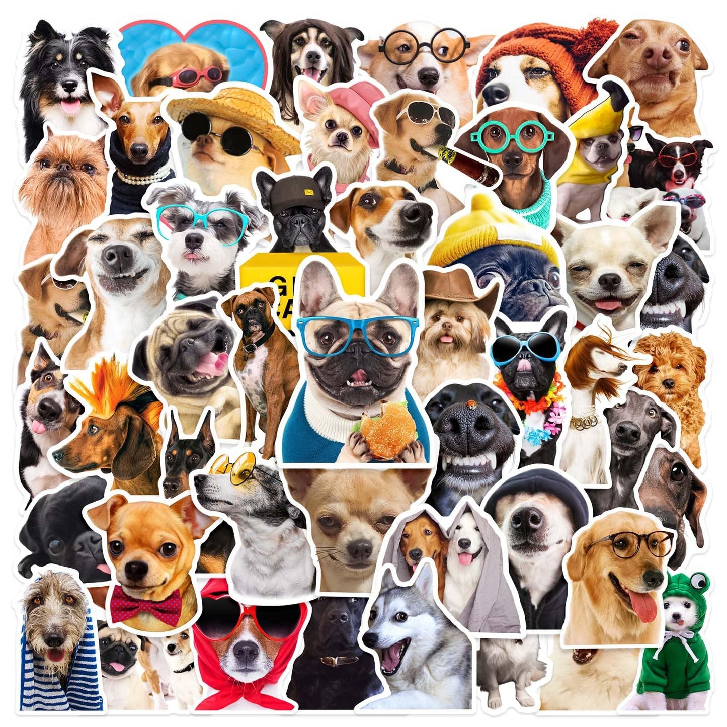 50 Funny Dog Stickers for Kids and Teens