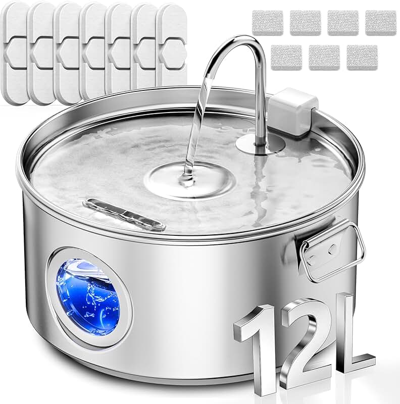 Large Dog Water Fountain with 3.2 Gallon Capacity