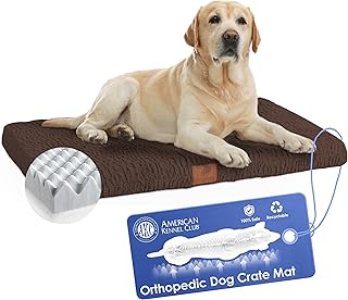 Orthopedic Memory Foam Dog Bed with Washable Cover