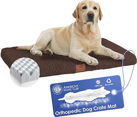 Orthopedic Memory Foam Dog Bed with Washable Cover