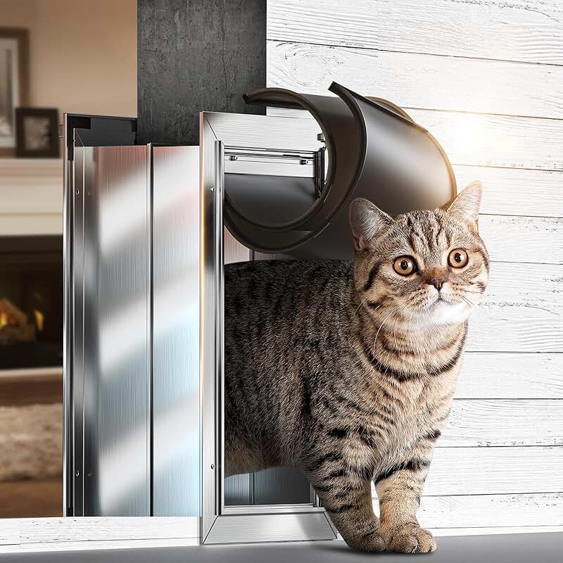 Wall Cat and Small Pet Door with Magnetic Flaps