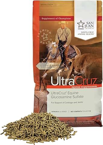 Equine Glucosamine Sulfate, 10 lb