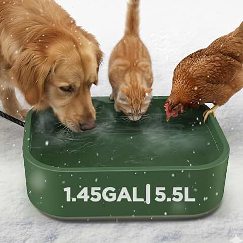 Large Heated Water Bowl for Pets Indoor and Outdoor