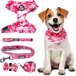 Adjustable 6-in-1 Dog Harness and Collar Set for Medium and Large Dogs