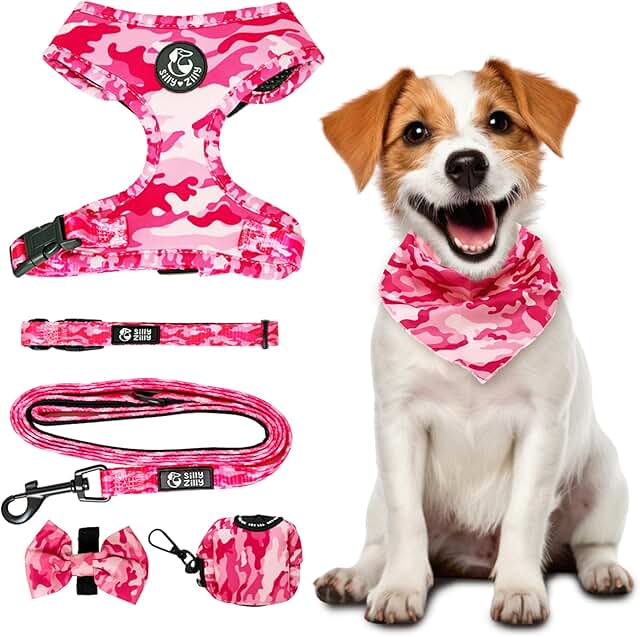 Adjustable 6-in-1 Dog Harness and Collar Set for Medium and Large Dogs
