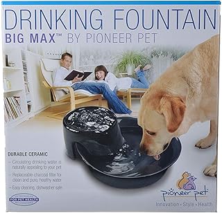 Large 128 oz Ceramic Drinking Fountain in Black
