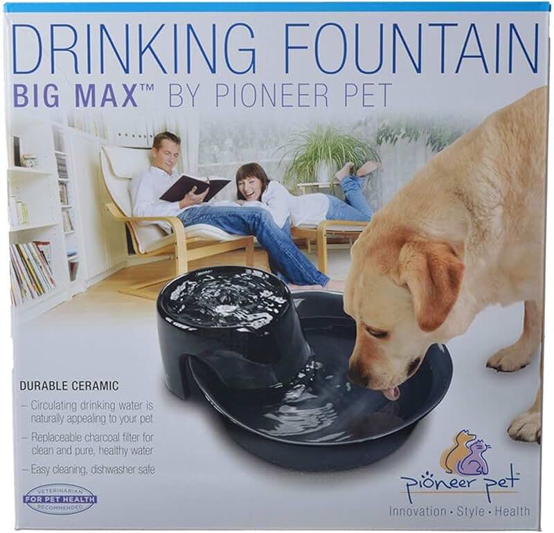 Large 128 oz Ceramic Drinking Fountain in Black