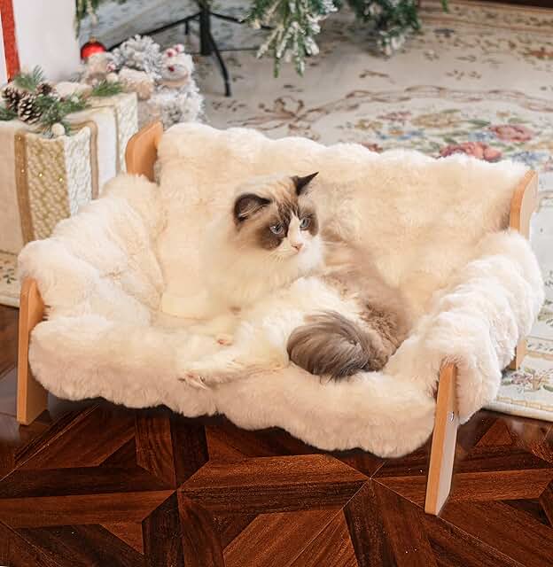Elevated Cat Couch Bed with Washable Cover