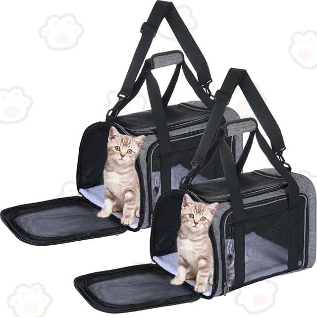 Soft Cat and Dog Carrier Bag, 17x11x11 inches