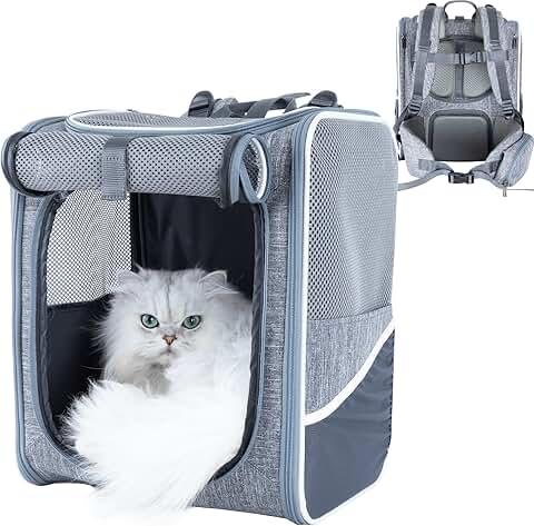 Comfortable Pet Backpack for Medium Cats and Small Dogs