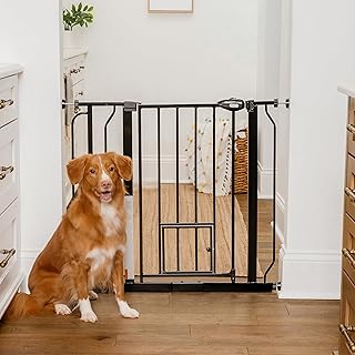 Extra Wide Pet Gate with Small Door and Extensions