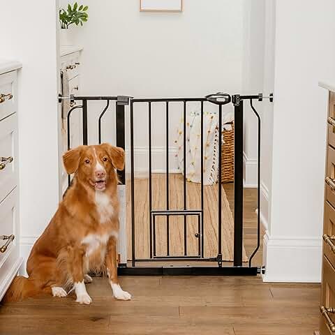 Extra Wide Pet Gate with Small Door and Extensions