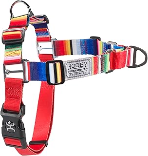 Adjustable No-Pull Dog Harness with Tijuana Serape Design