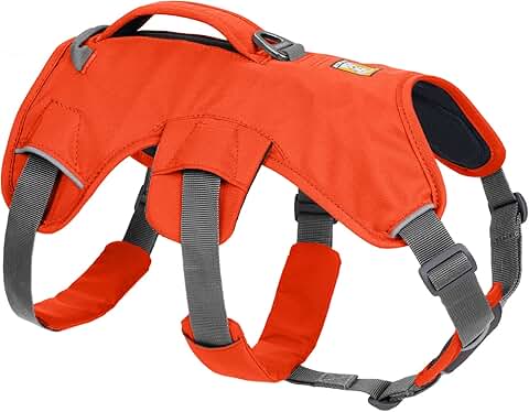 Multi-Use Support Dog Harness for Hiking and Daily Wear