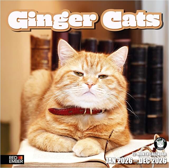 Ginger Cats 2026 Wall Calendar, 12 Months